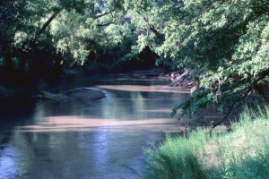 Muddy River
