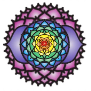 Thousand petaled lotus